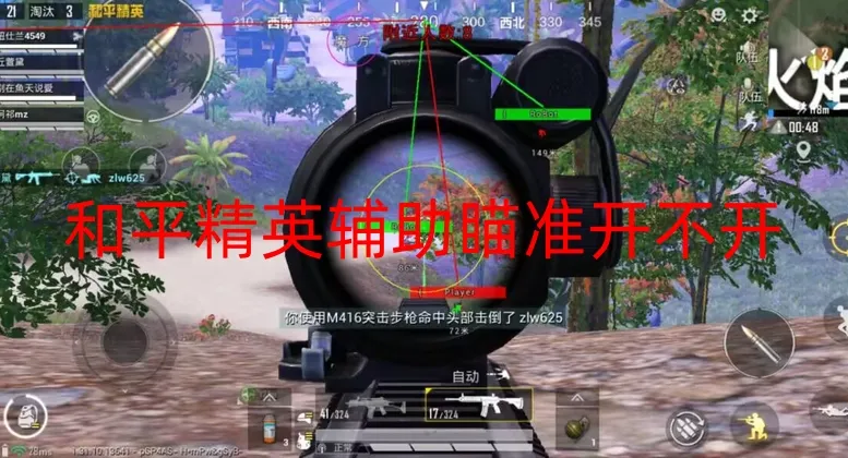 和平精英辅助瞄准开不开-和平直装【地狱猫